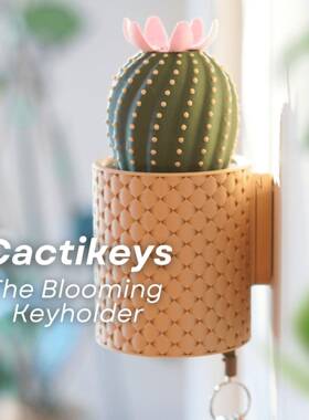 仙人掌墙壁挂趣味植物室内休闲墙壁挂钥匙挂室内趣味实用摆件