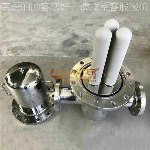 定蒸汽过滤器蒸汽管道精制密过线滤器FT-DS食品医药在汽灭菌蒸管