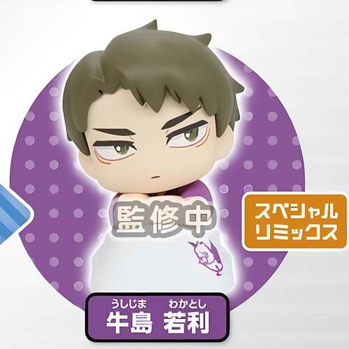 11月预日本排球少年睡姿摆件主将篇黑尾铁朗及川彻