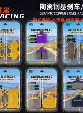 适用九号E系 E80cMK2/E150 MK2/E100 E200 E300/MK2 前後煞车片