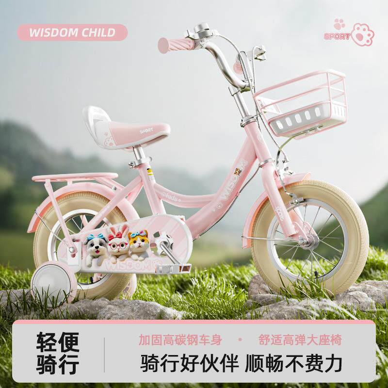 智童公主儿童自行车3岁到6岁8到12岁小孩女童儿童款单车2025