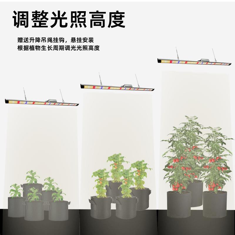 植物补光灯50瓦100W全光谱太阳光温室花卉热植led专用植物生长灯