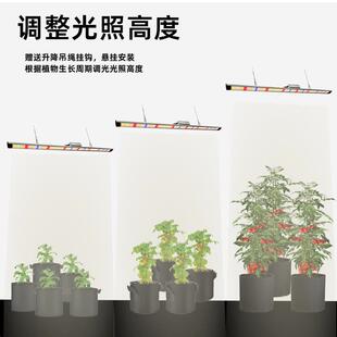 植物补光灯50瓦100W全光谱太阳光温室花卉热植led专用植物生长灯