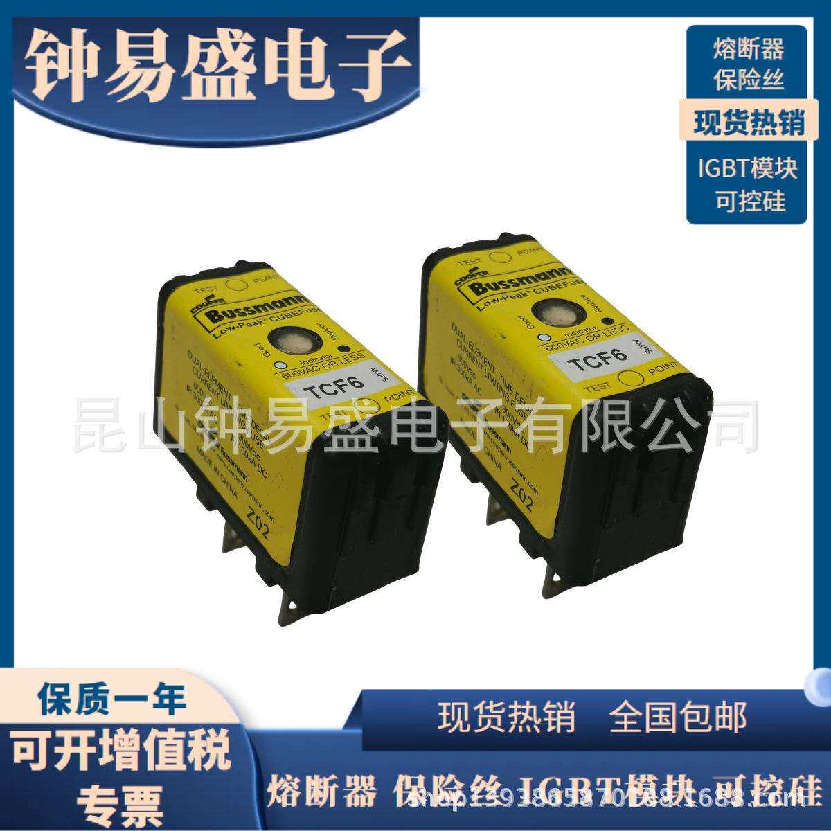BUSSMANN延时熔断器TCF6 /15 / 20 / 30RN 600V