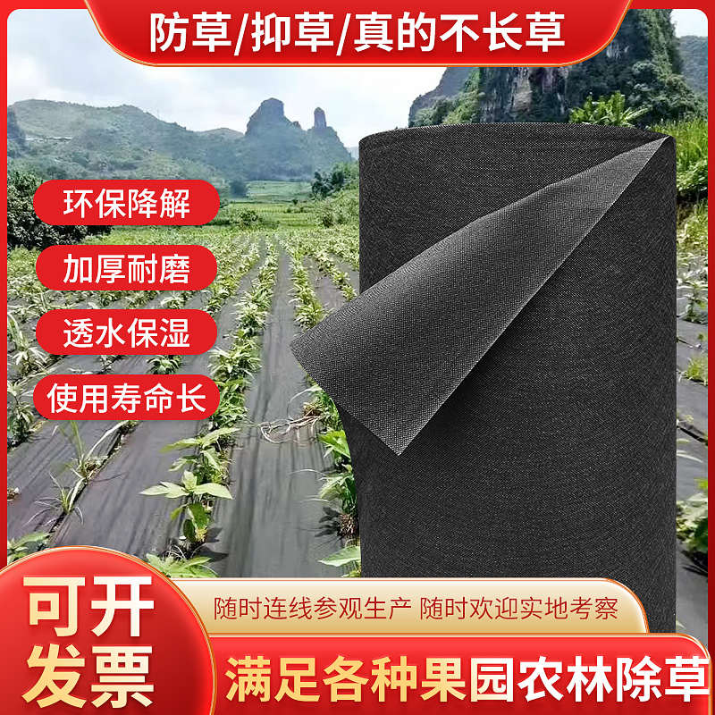 防草布防长草地膜可降解地布抗老化无纺布园林绿化果园果树除草布