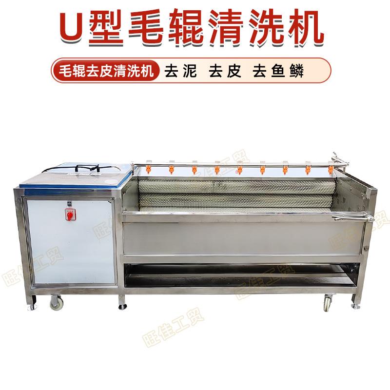 山药土豆莲藕清洗机荸荠去皮清洗机雪莲果毛辊清洗机
