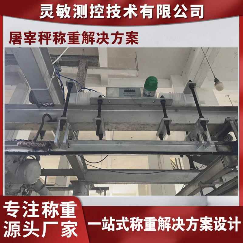 屠宰场轨道秤称重解决方案悬轨单双吊秤商用静动态自动挂钩电子秤