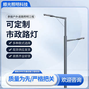 双头市电路灯LED高低臂路灯户外道路照明市政工程双臂路灯杆厂家