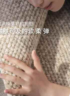 【大卧宅标】纽西兰进口客厅羊毛毯轻奢配侘地寂MMY风耐脏室纯色