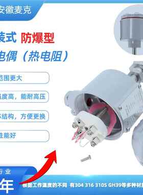 安徽天W 装配式防爆热电偶铂 装配MKWRN-34式防爆长电阻 RN-340 W