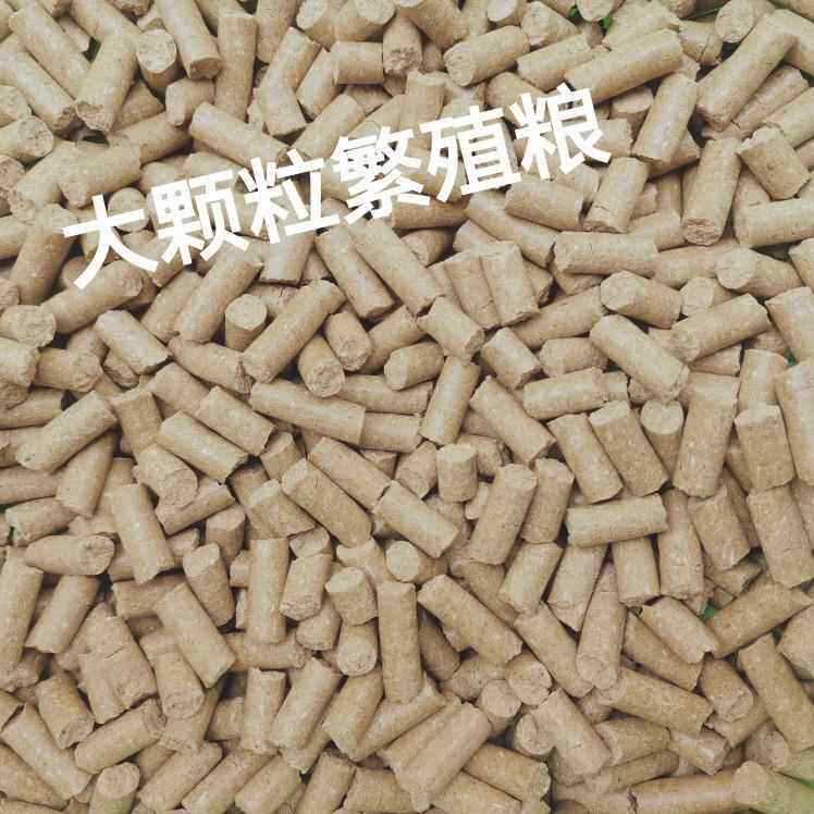 大小白鼠鼠粮花枝鼠粮金丝熊鼠粮爱吃高蛋白大颗粒繁殖粮多种规格
