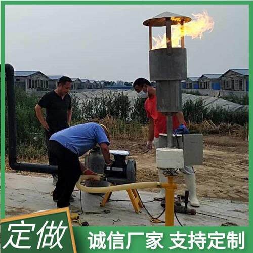 垃圾场养殖场沼气排放燃烧设备不锈钢沼气火炬封闭式燃烧工艺