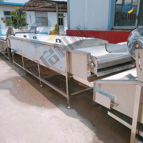 不锈钢小菊花杀青机牌菊花蒸汽杀青机花茶杀青流线