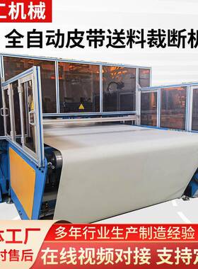 汽车内饰件珍珠棉裁断机玻璃纤维材料裁切全自动皮带送料裁断机
