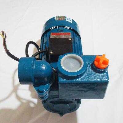 ZDB-1.5KW自吸泵井用农用大流量高扬程自吸水泵