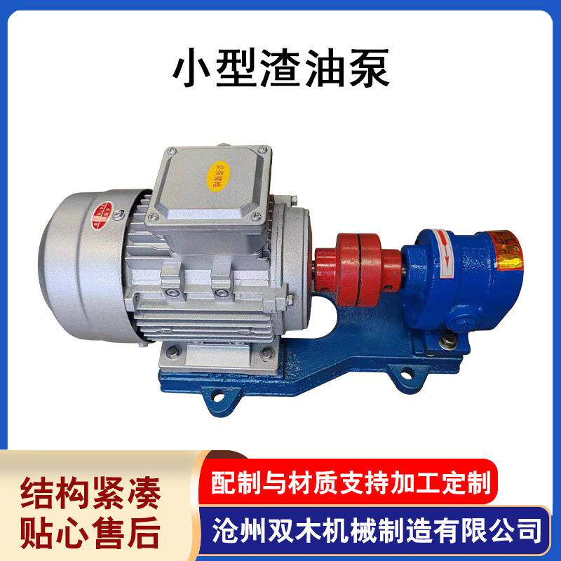 小型渣油泵不锈钢微型齿轮泵电动卧式齿轮小型泵小流量齿轮泵