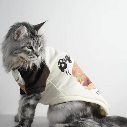 缅因猫专用衣服大号卫衣帅气薄款防掉毛酷春装春季宠物猫咪穿的
