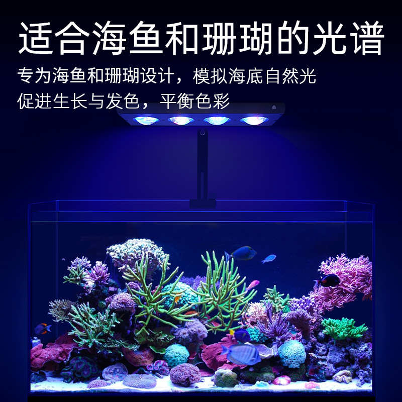 威尔康海水灯Z400SEA海缸海水海鱼珊瑚灯LPS软体LPS硬骨补光神灯