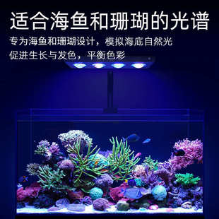 威尔康海水灯Z400SEA海缸海水海鱼珊瑚灯LPS软体LPS硬骨补光神灯