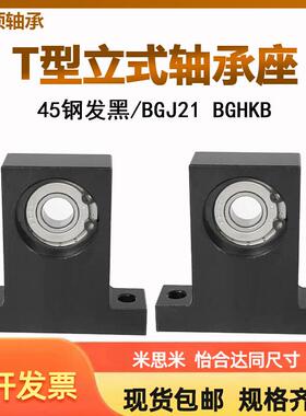 T型立式轴承座BGJ21/BGHKB6200 6201 6202 6203 6204轴承固定座