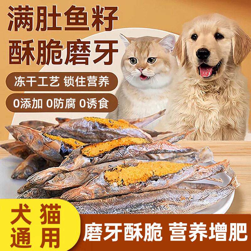 多春鱼冻干猫狗宠物零食三文鱼肉粒发腮磨牙无盐粮满籽小鱼干