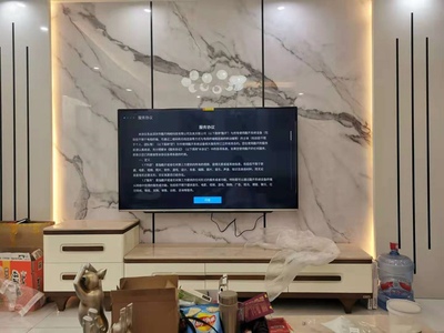 客观分析电视创维5T 65和海信H65E3A哪个好，差别大不大？