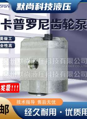 卡普罗尼Caproni齿轮泵30A20X068H 10A(C)1X575 20A4.5X008液压泵