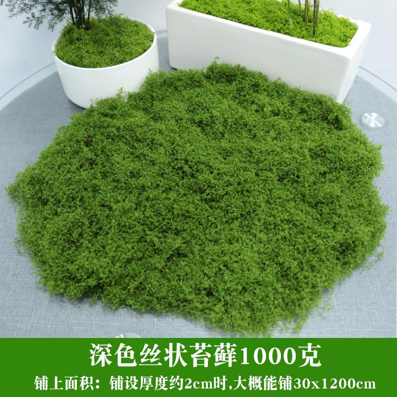 仿真青苔藓草坪造景绿植物墙人造微景观盆景假草皮假苔藓装饰铺面