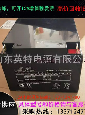 销售 LEOCH 理士蓄电池12V24AH DJW12-24铅酸 免维护 蓄电池 包邮