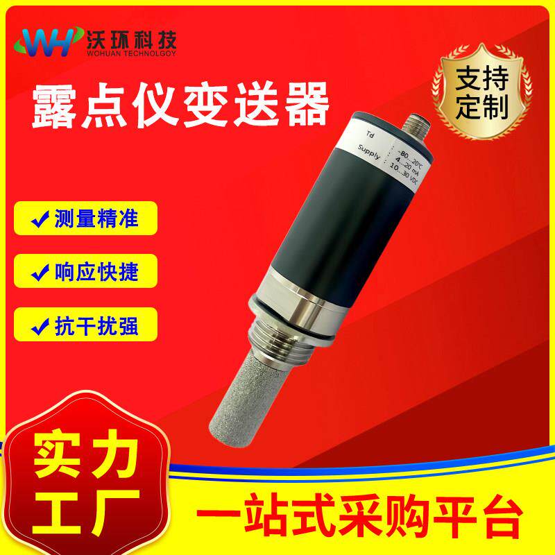 线上温湿度露点仪高精度线上式露点仪工业露点变送器露点测量仪