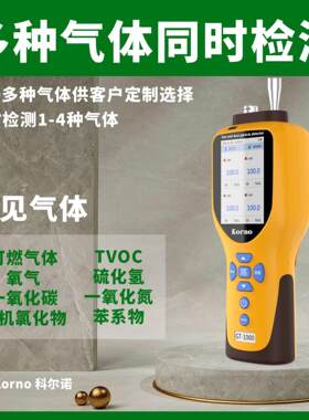 GT-1000-K-TODOR便携式臭气检测仪废气检测泵吸式可存数据