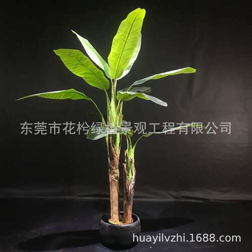 仿真芭蕉树室内造景假树banana tree室内大型落地景观植物装饰