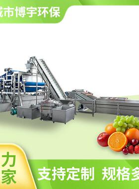 水果清洗榨汁生产线设备饮料厂食品厂全套水果蔬菜榨汁机器