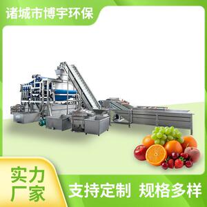 博宇水果清洗榨汁生产线设备 饮料厂食品厂全套水果蔬菜榨汁机器
