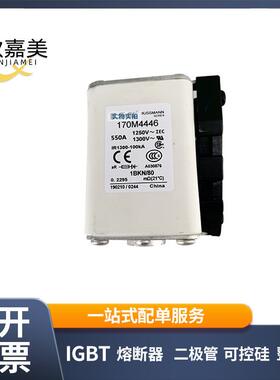 170M4446 170M4418 快速熔断器 电子元器件 库存充足 量大价优