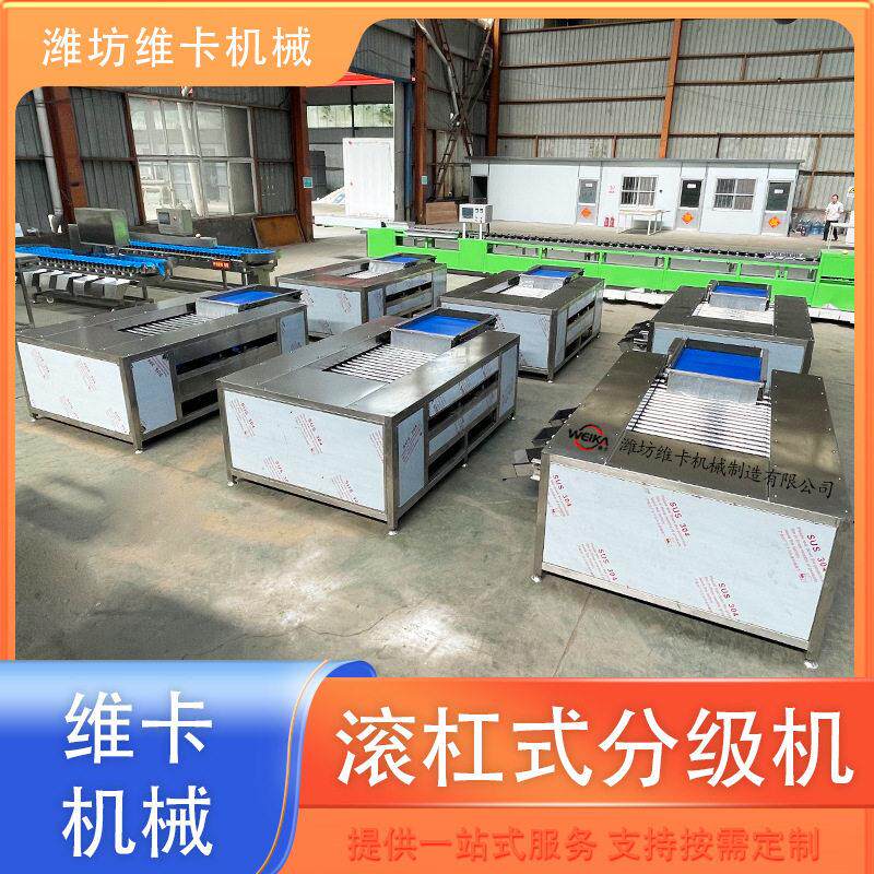 荔枝直径选果机 胡萝卜大小分选机小型家用水果分拣机 山东源头厂