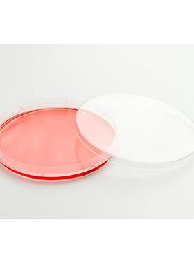 150464赛默飞NuncEasYDish培养皿聚苯乙烯无菌100mmThermo