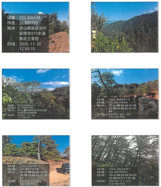 堆金湾集团会理德森林业开发有限公司所属14849.93亩林地使用权及林木