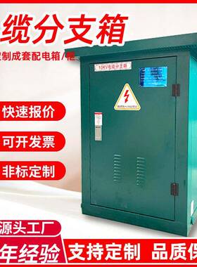 电缆分支箱10kv高压dwf-20/630一进二三四出户外欧式不锈钢分接箱