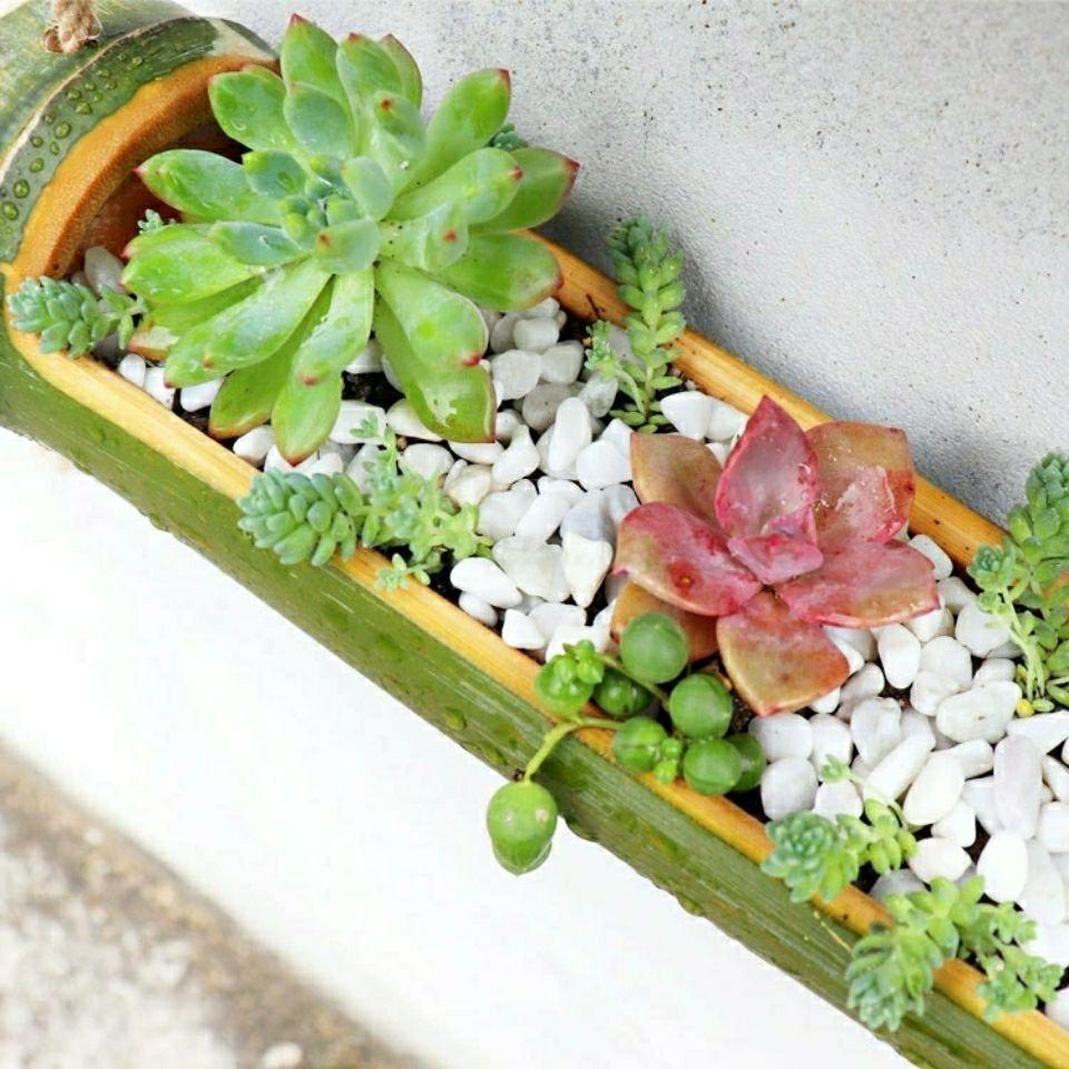 壁挂花盆阳台挂墙吊挂悬挂式挂架多肉吊兰大口径竹子木头创意竹筒