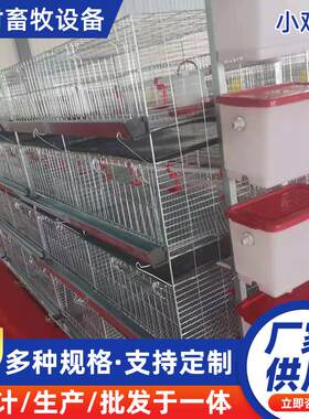 加粗加密镀锌雏鸡笼鸡苗鸭苗鹅苗育雏笼一体立式脱温鸡笼带配件