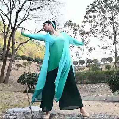 高档披古典舞蹈服女演练功蛇服演出服风青蛇白表服装纱衣仙女飘逸