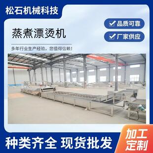 鱿鱼仔漂烫蒸煮冷却线电加热水果罐头漂烫设备玉米蒸煮漂烫机