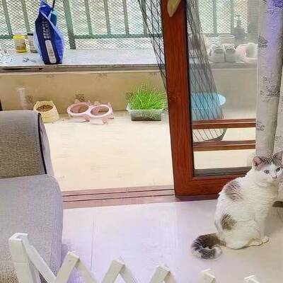 防腐木栅栏围栏室内拦狗猫兔宠物免打孔院子拦门栅栏户外护栏围住