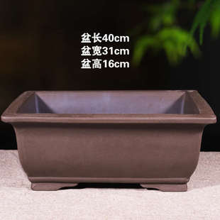 紫砂长方形花盆马槽花盆大口径盆景种树花盆陶瓷花盆大号画册式