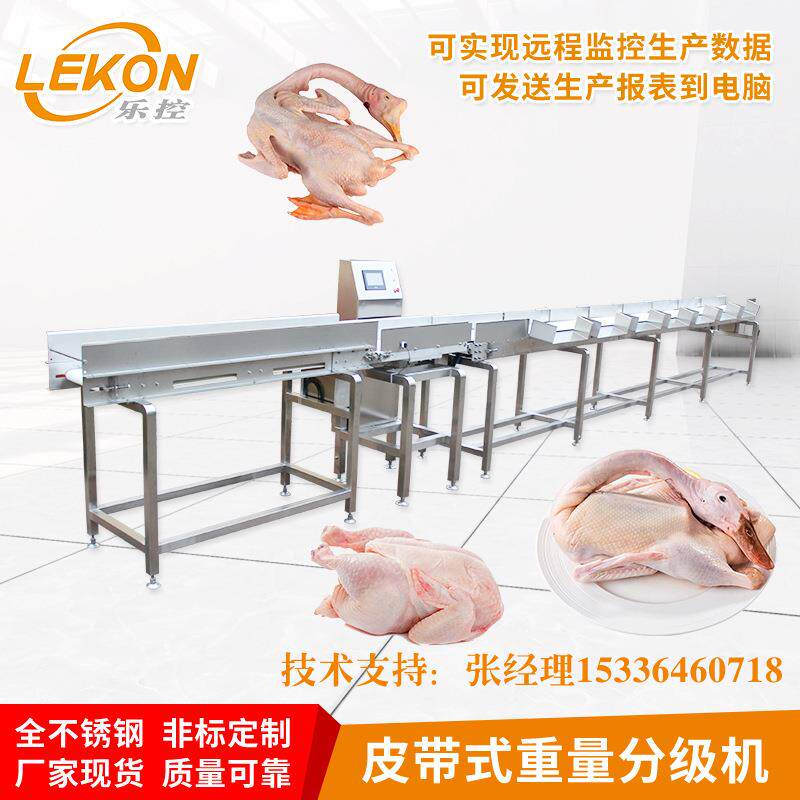 定制皮带秤在线智能皮带式重量分选机整鸡鸭鹅白条鸡鸭鹅白切鸡