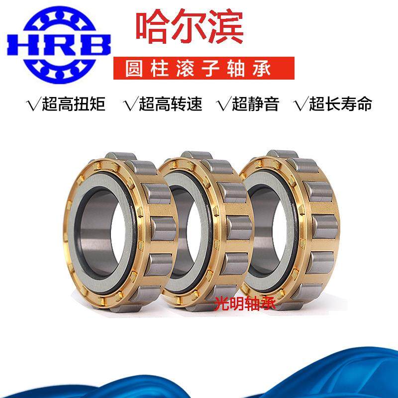 HRB哈尔滨圆柱滚子轴承RN305 306 307 308 309 310 311 312M铜卡