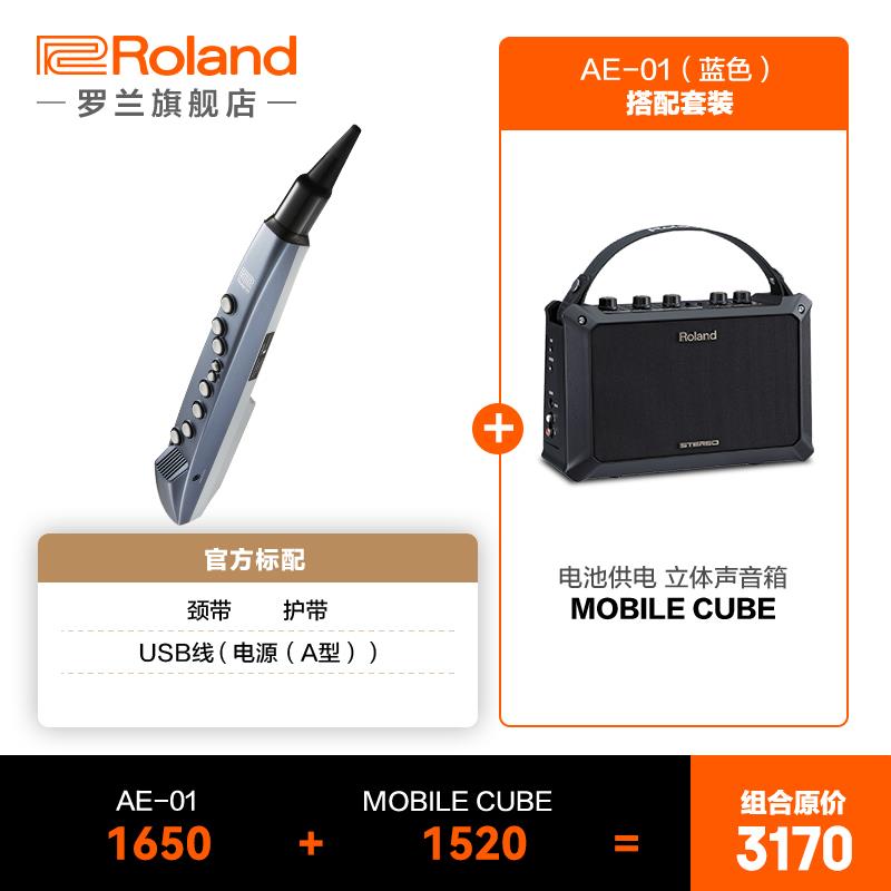 高档oland罗兰AE-0斯1/AE-01C吹管电R初学者电萨克老年人电子吹管