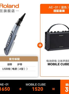 高档oland罗兰AE-0斯1/AE-01C吹管电R初学者电萨克老年人电子吹管
