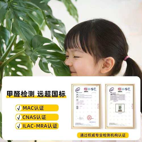 仿真绿植龟背竹高端轻奢盆栽办公室装饰摆件客厅落地仿生假树植物